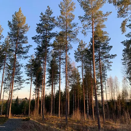 With Sauna And Jacuzzi Appartement