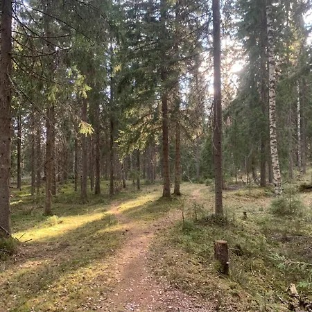 Apartman With Sauna And Jacuzzi