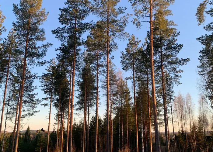 With Sauna And Jacuzzi Apartment