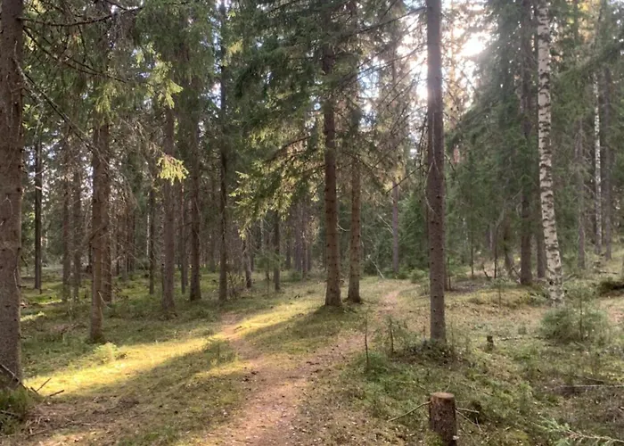 Apartment With Sauna And Jacuzzi